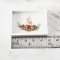 Miniatures Wood Tray Christmas Decoration