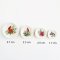 Miniature Christmas plates with cardinal designs, perfect for dollhouse holiday decor and adding festive cheer to miniature scenes.