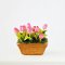 Clay Tulip Flowers Pot Set 2 Pcs