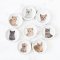 Cat Lover Miniatures Ceramic Plates Set
