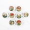 Ceramic Plates Wonderland Set 8 Pcs