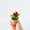 Set 5 Pcs Calla lily Flowers Pot
