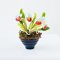 Handmade miniature orchid pots