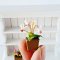 Set of 2 Pots Pink Tulip Flowers