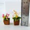 Set of 2 Pots Pink Tulip Flowers