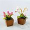 Set of 2 Pots Pink Tulip Flowers