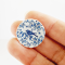 Ceramic Blue bird floral Scallop Plate