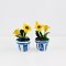 Miniature Sunflower Pot