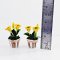 2 Set Handcrafted Miniature Sunflower Pots Dollhouse Decor