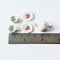 Miniature Porcelain Tea Set with Rose Floral Design