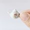 Miniature Porcelain Tea Set with Rose Floral Design