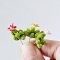 100 Pcs Handcrafted Miniature Succulent Collection