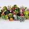 100 Pcs Handcrafted Miniature Succulent Collection