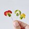 100 Pcs Handcrafted Miniature Succulent Collection