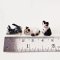 Set of 3 Handcrafted Miniature Cat Figurine Collection