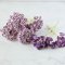 130 Stalk of Mulberry Paper Flower Bouquet