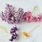 180 Stalk of Mulberry Paper Flower Bouquet