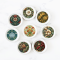 Victorian Style Miniature Ceramic Plates Set