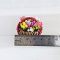 Handcrafted Miniature Flower Basket with Multicolor Tulips