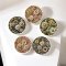 Set of 5 intricate floral miniature plates, ideal for dollhouse decor or as collectible miniatures with detailed flower designs.