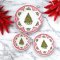 Miniature Christmas plates with red and green tree designs, set of 3. Perfect for dollhouse holiday decor or festive miniature table settings.