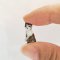 Dollhouse Miniatures Ceramic Cat Kitten Figurine Hand Painted Collectibles Gift Set