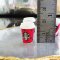 Dollhouse Miniatures Starbucks Hot Coffee Cup Drink Beverage Christmas Decoration Set