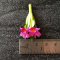Dollhouse Miniatures Clay Flowers Orchid Cattleya  Fairy Garden Decoration Handmade Collectibles
