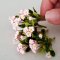 5x White Pink Mini Plumeria Clay Flowers Handmade Dollhouse Miniature Fairy Garden Decoration