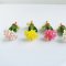 Miniatures Colorful  Amayllis Clay Flowers