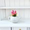 Dollhouse Miniatures Pink Tulip Clay Flower in Ceramic Vase Pot Fairy Garden Plants Decoration
