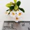 5x White Mini Plumeria Clay Flowers Handmade Dollhouse Miniature Fairy Garden Decoration