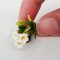 5x White Mini Plumeria Clay Flowers Handmade Dollhouse Miniature Fairy Garden Decoration