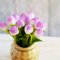3x White Light Purple Colorful Tulip Clay Flowers in Ceramic Vase Jar Pot Dollhouse Miniature Fairy Garden Decoration