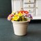 5x Colorful Daisy Clay Flowers in Metal Pot Dollhouse Miniature Fairy Garden Decoration