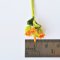 10x Orange Gazania Clay Flowers Handmade Miniature Dollhouse Fairy Garden Decoration Collectibles Gift Handcrafted
