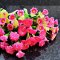 16x Pink Clay Flowers Handmade Miniature Dollhouse Fairy Garden Decoration Collectibles Handcrafted