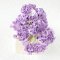 Purple Violet Gypsophila Gypso Mulberry Paper Flower