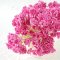 50Pcs Pink Gypsophila Gypso Mulberry Paper Flower