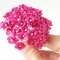 25 Pcs Pink Mulberry Paper Flower