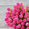Dollhouse Miniature Light Pink Tulip Clay Flowers