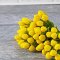 10x Yellow Tulip Clay Flowers Miniature Home Decor