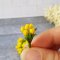 10x Yellow Tulip Clay Flowers Miniature Home Decor