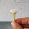 White Gypsophila Gypso Mulberry Paper Flower