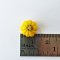 Miniatures Handmade Pumpkin Mixed colors