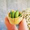 7x Cucumber Mini Vegetables in Bamboo Basket Dollhouse Miniature Set Groceries Decoration