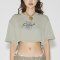 AHT078 Too hot to handle crop tee