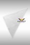 White Triangle Scarf  (FSF0101)