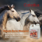 Caballus Organic Horse Shampoo