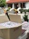  รีวิว ภาพการจัดส่ง Snack Box ชุดอาหารว่างซาลาเปาทับหลีประกายจันทร์